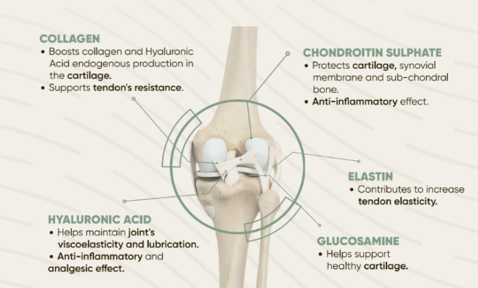 Joint nutrients