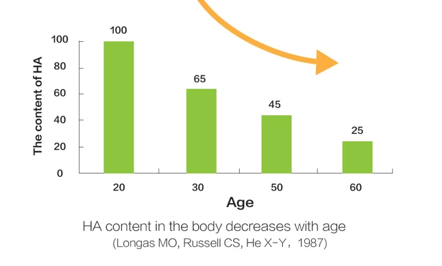 Graph Showing Hyaluronic Acid Level Decreases With Increasing Age