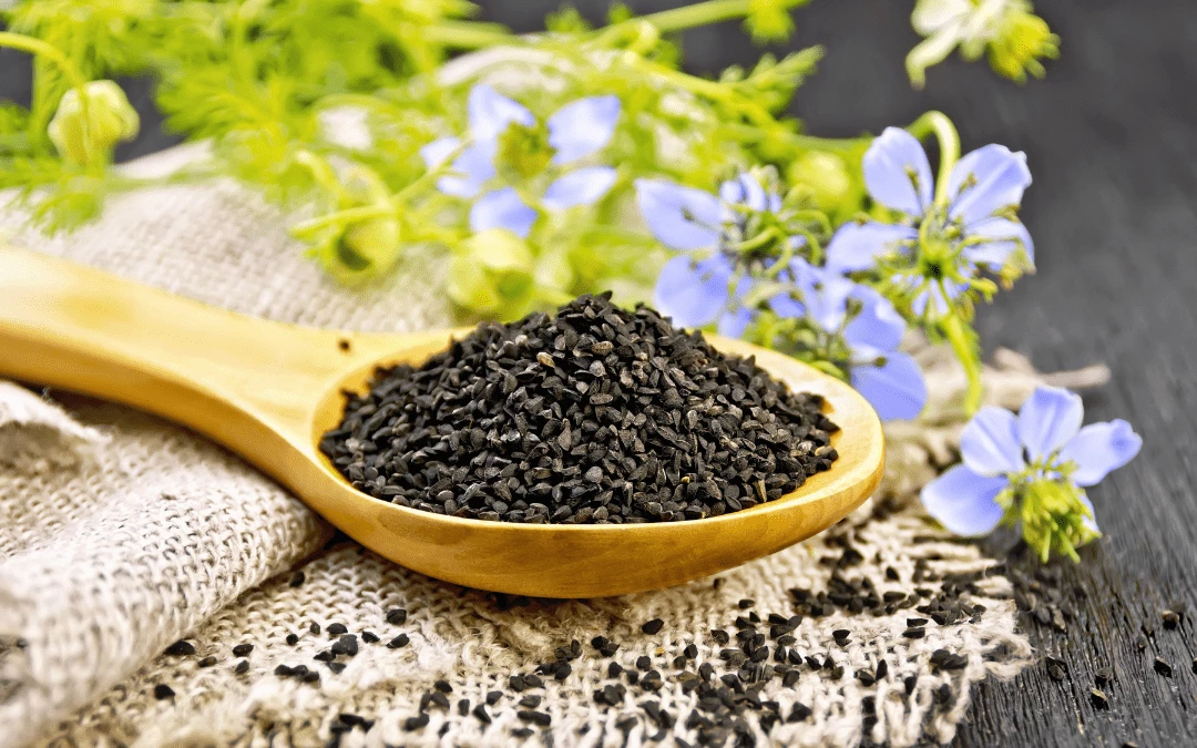 Black Cumin Seeds On Wooden Spoon With Natural Flower Farm Background