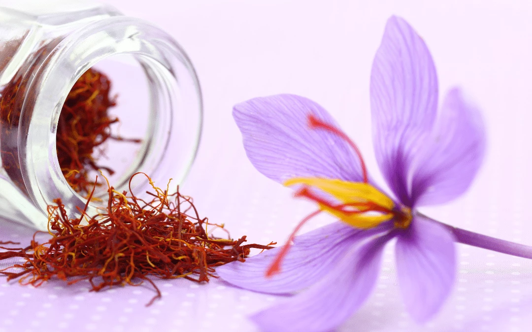 Saffron Purple Flower With Red Stigma On The Side At White Background