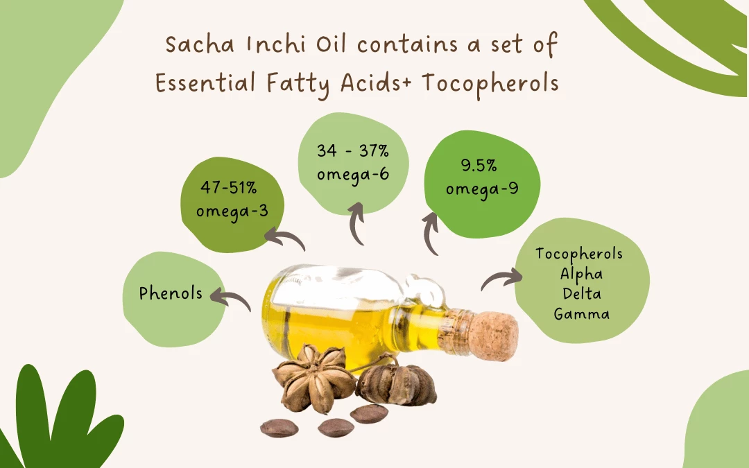 illustration-of-nutritional-value-of-sacha-inchi